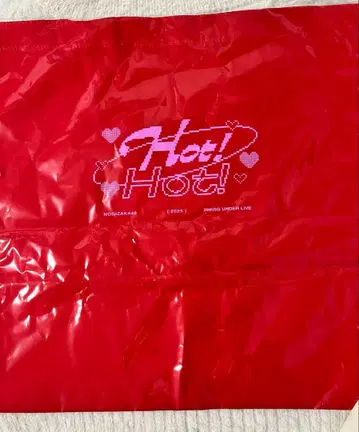 노기자카46 39thSG 언더 라이브 토트백 A