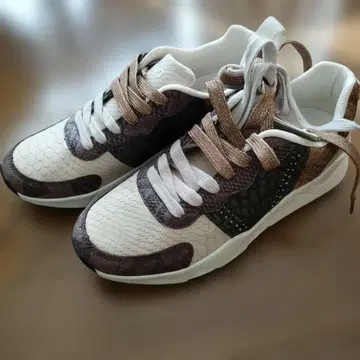 데시구알 스네이크 스킨풍 스니커즈