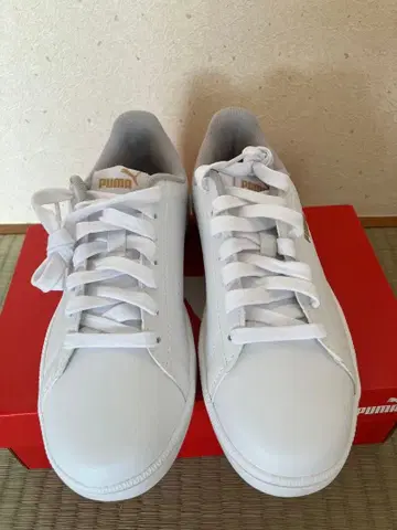 PUMA UP PERF 화이트