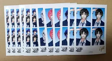 메테오라 브로마이드 L판 12장