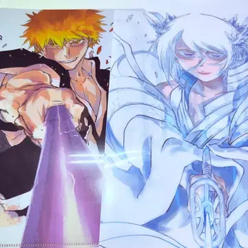 BLEACH 원화전 클리어 파일 쿠로사키 이치고 쿠키 루키아