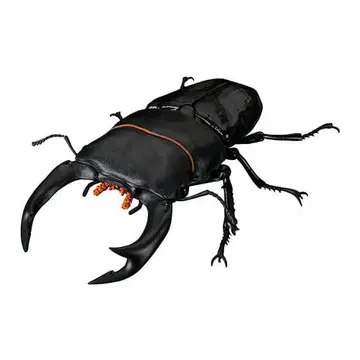 생물대도감 어드밴스 사슴벌레 02 오오쿠와가타