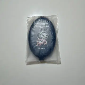 SHUNTO 코인 케이스