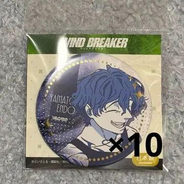 WIND BREAKER   금박 캔뱃지 vol.2 트윈