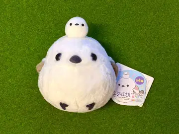 시마연가 다정한 모자 컬러풀 시마짱 모자 블루 미사용 새상품