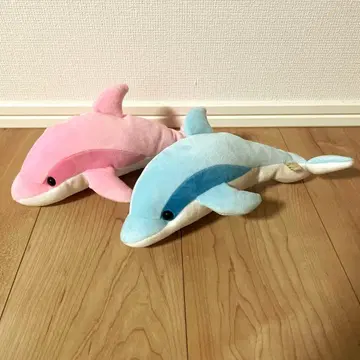 돌고래 봉제 인형 세트