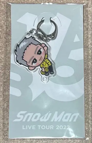 Snow Man 스노치루 아크릴 키링 이와모토 테루