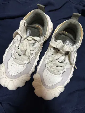 DENTIGRE LS / 덴티그레 엘에스 오니츠카타이거