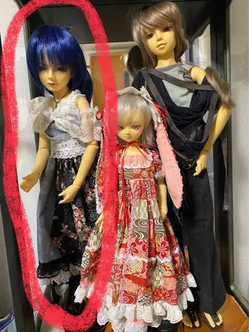 슈퍼돌피 SD13 풀 초이스 모델