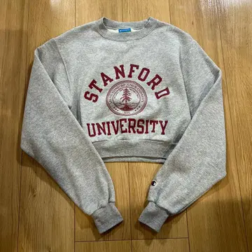 00s Champion 맨투맨 칼리지 로고 그레이 숏 기장 구제 의류