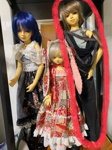 슈퍼돌피 SD13 풀 초이스 모델