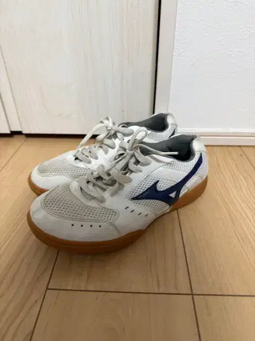 미즈노 여성 신발