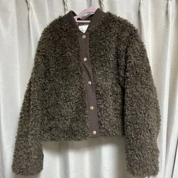 나노 유니버스 푸들 블루종 브라운