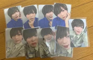 팬더 드래곤 팟치 트레이딩 카드