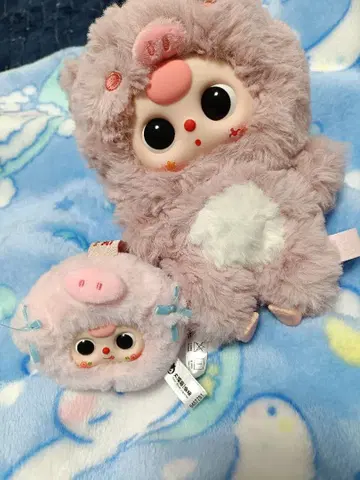 BabyThree 돼지 세트