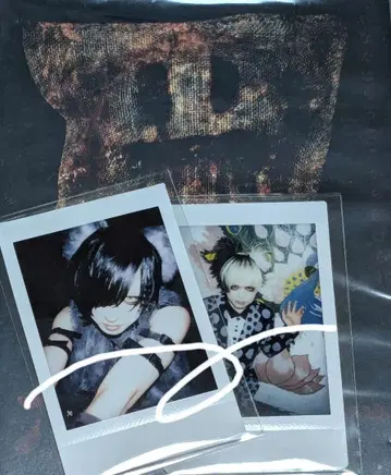 자아자아 폴라로이드 이치아오 안 호러