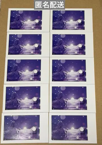 이레귤러즈 실사 폴라로이드 쇼토 3