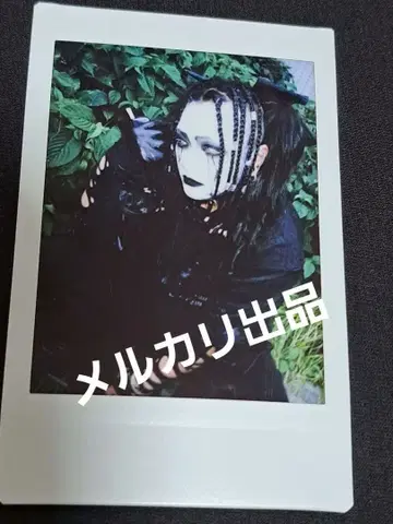 DAMNED 일음 과거 폴라로이드 V계 밴딩