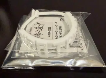 아이나지엔드 라바반 혁명도중 투어