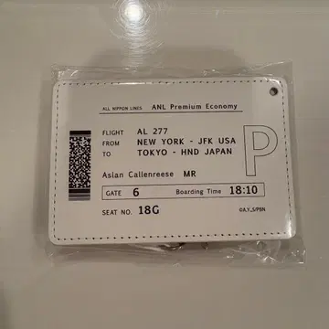 BANANA FISH 항공권 패스 케이스