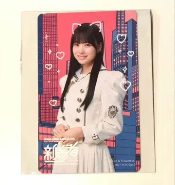 마츠모토 카즈코 신참자 카드