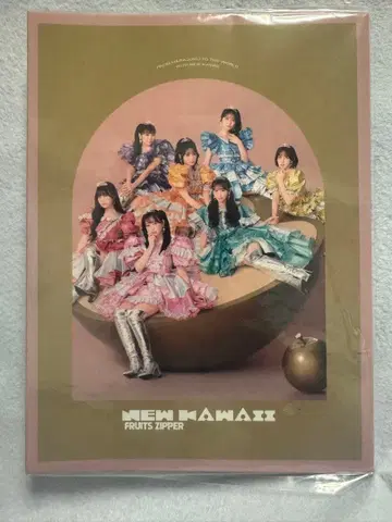 FRUITSZIPPER 뉴 귀여운! 폴라로이드 트레이딩 카드 앨범