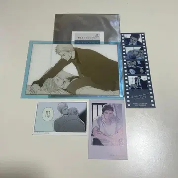 얀다루 새는 날갯짓하지 않아 4세트