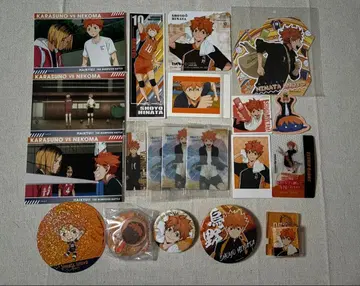 하이큐 히나타 쇼요 굿즈 묶음 판매 20점