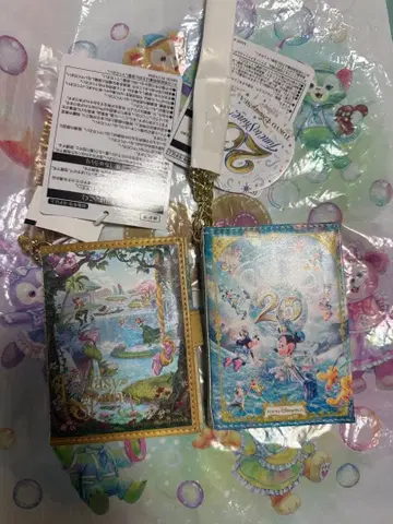 팬타스틱 디즈니 패스 케이스