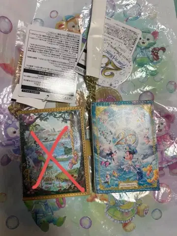 팬타스틱 디즈니 패스 케이스