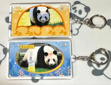 어드벤처 월드 량빈 키링