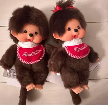 몽치치 프리미엄 스탠다드 S