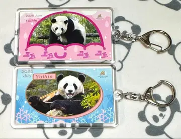 어드벤처 월드 유이 키링