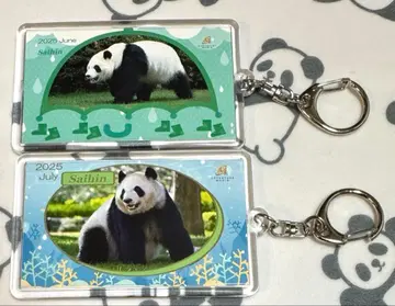 어드벤처 월드 채 키링