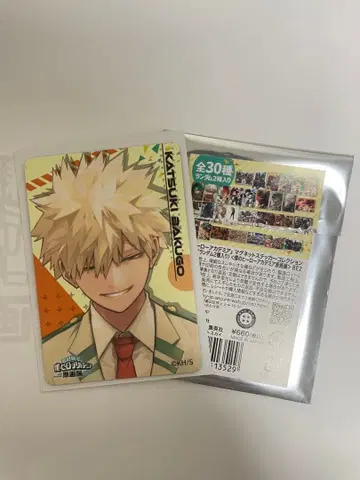 바쿠고 카츠키 마그넷