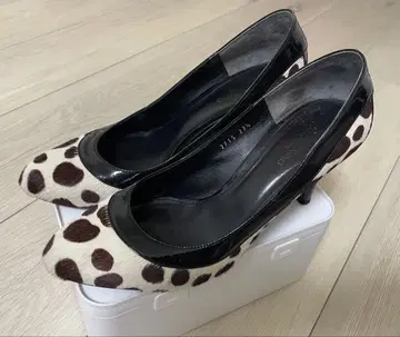 11/23까지 BODY DRESSING Deluxe 23.5cm