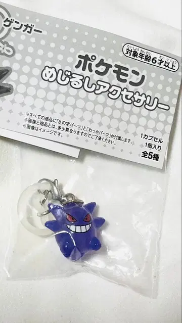 포켓몬 메지루시 액세서리 겐가