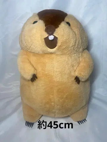 마모트의 마토토토 봉제 인형 아타로