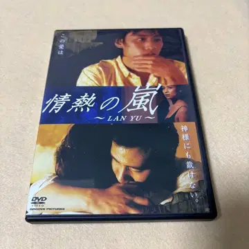(DVD) 정열의 폭풍('01 홍콩)