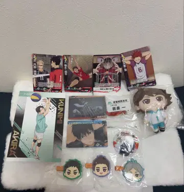 [12월 25일 처분] 하이큐 바보카 배지 캔뱃지 마스코트 카드