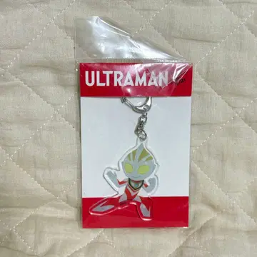 울트라맨 울트라맨 가이아 아크릴 키링