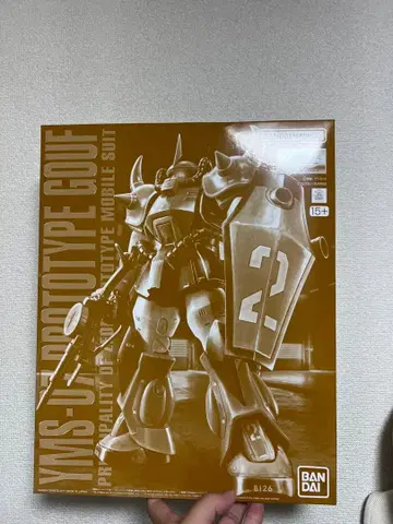 MG 1/100 프로토타입 구프