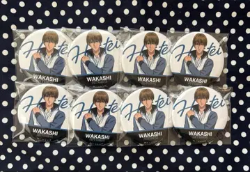 테니페스 2025 캔뱃지 히요시 와카 x 8