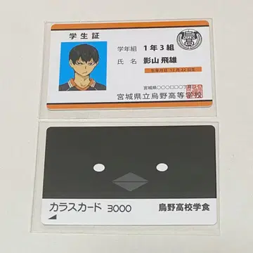 하이큐!! 카게야마 토비오 버라이어티 카드