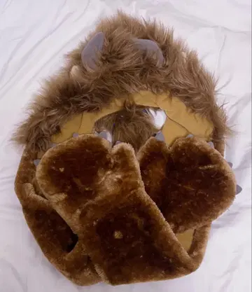 디즈니 리조트 미녀와 야수 팬캡