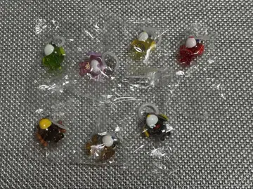 오차이누 메지루시 액세서리 컴플리트