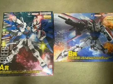 제일복권 MG 프리덤 건담 Ver.2.0 & 에일 스트라이크 건담