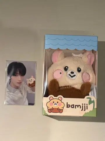 bamjii 봉제 인형 포토 카드 포함 지성