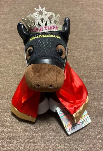 아이돌 호스 selection 제17회 추화상 젠틸돈나