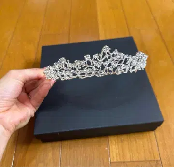 티아라 와타나베 웨딩